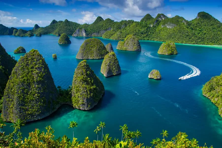 Slide 4